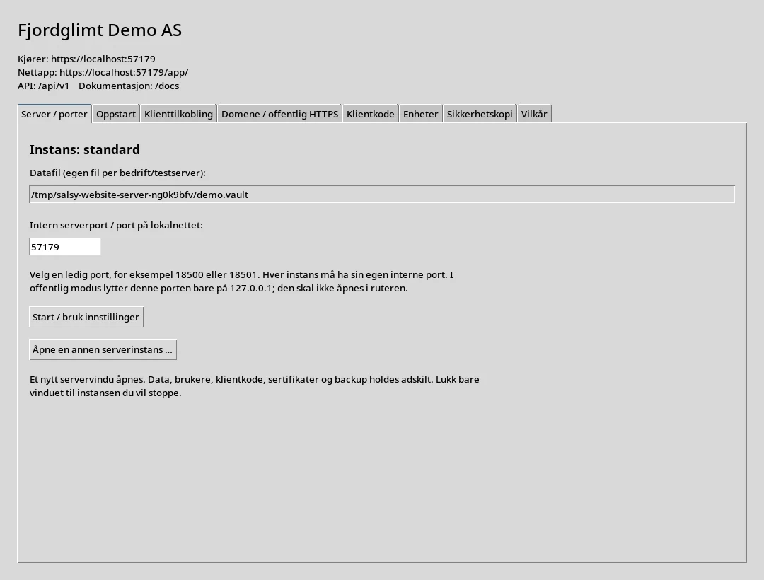 Salsy Server – administrasjon med fiktiv bedrift